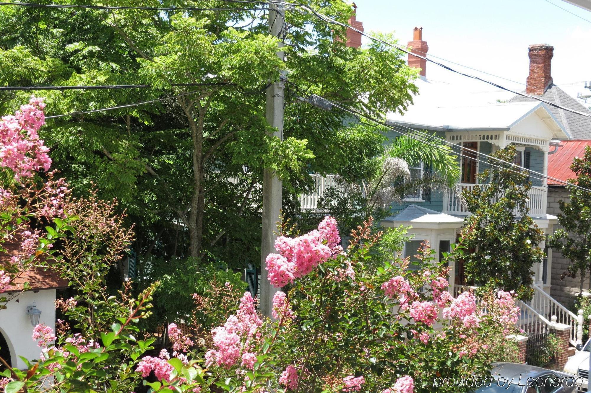 Bayfront Westcott House Bed & Breakfast St. Augustine Exterior foto